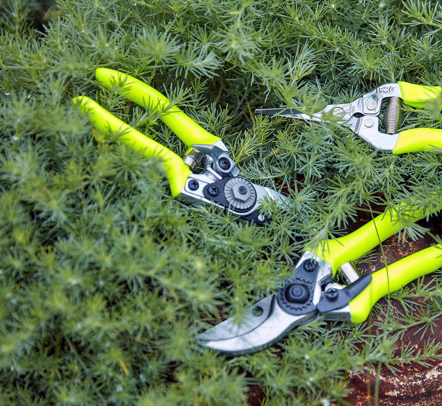 Käärid - taskukäärid - Flora Brite - Image 3