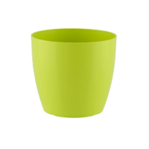 Artevasi San Remo, roheline