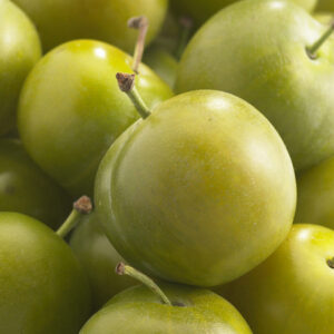 Ploom 'Reine Claude D'Oullins'