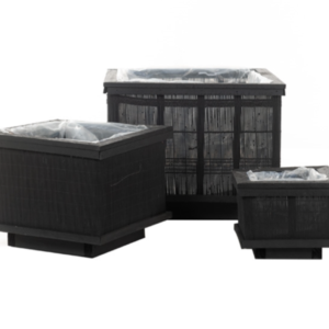 Kandilised bambuspotid