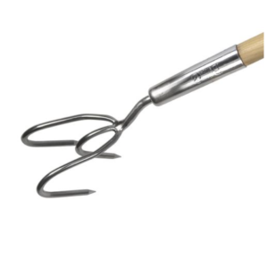 Roostevaba pikk aiahark (käpp)