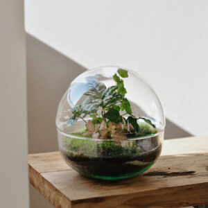 Biotopium terraarium N1