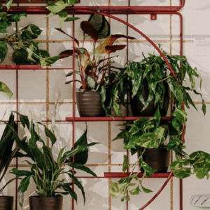 Bujinie seinariiulid M:OD