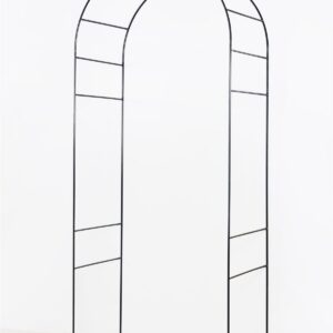 Ronitaimede kaar UUS!