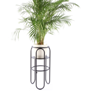 Bujinie kollektsioon BONBON