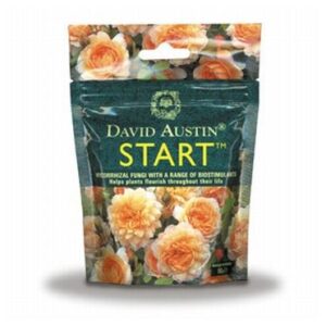 Austin START - Juurekasvu edendaja